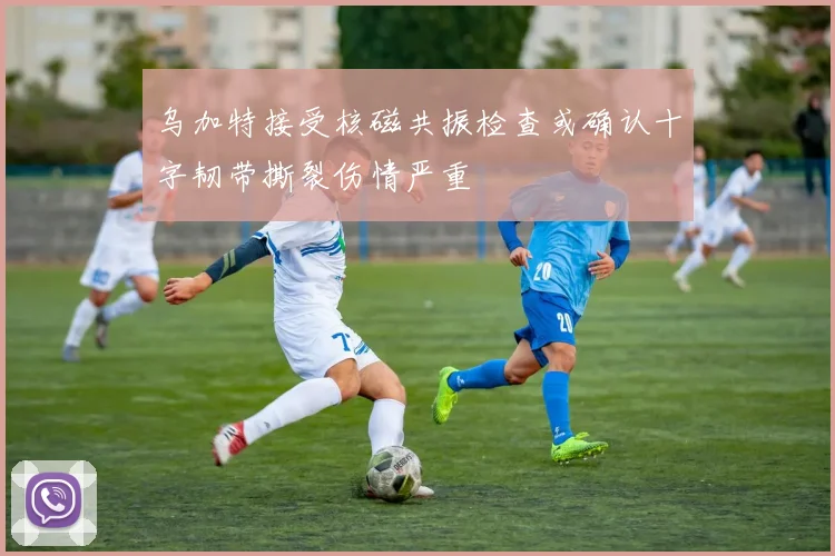 乌加特接受核磁共振检查或确认十字韧带撕裂伤情严重