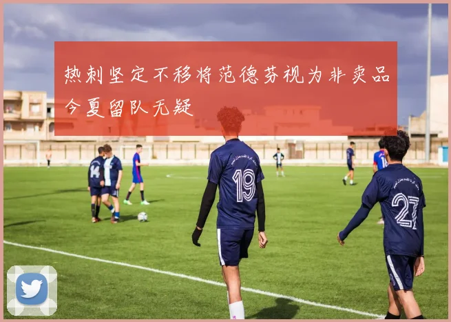 热刺坚定不移将范德芬视为非卖品今夏留队无疑