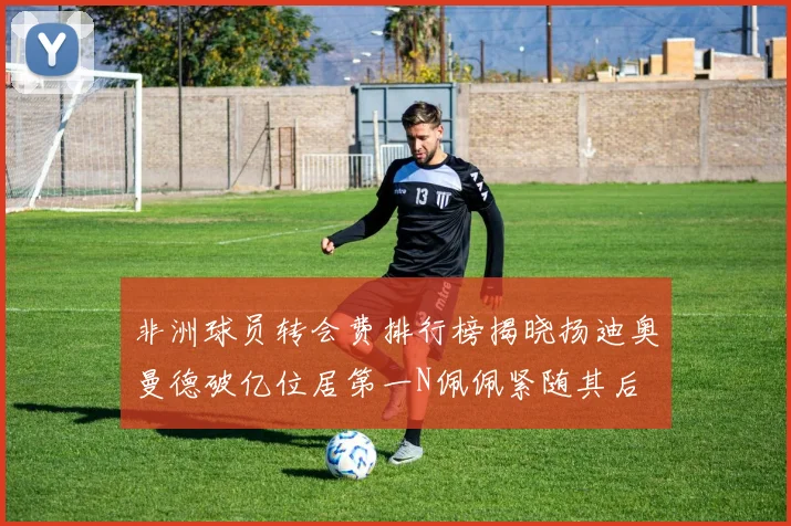 非洲球员转会费排行榜揭晓扬迪奥曼德破亿位居第一N佩佩紧随其后